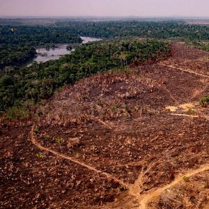 Au Brésil, l'augmentation de la déforestation de l'Amazonie a atteint 84 % sur les 11 premiers mois de 2019 par rapport à l'année précédente.