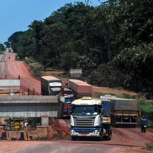 La forêt amazonienne est traversée par de grands axes routiers essentiellement fréquentés par des convois de poids lourds.
