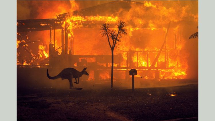 En Australie, une course contre la montre pour contenir les gigantesques incendies