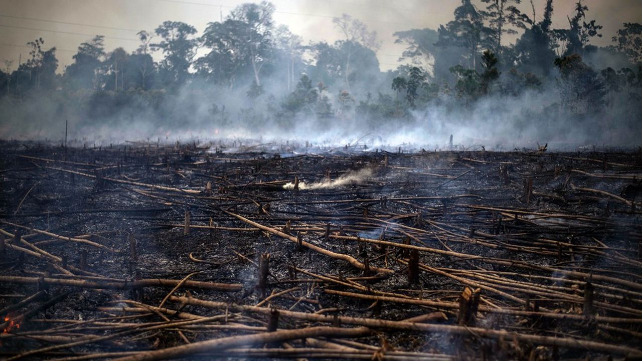 Un feu initié par des paysans péruviens dans la forêt amazonienne.