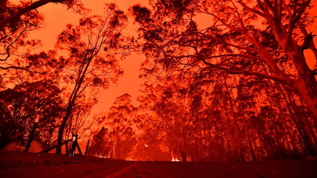 Les incendies en Australie ont déjà détruits plus de 11 millions d'hectares de terrains, tués au moins 26 personnes. Une alarme pour le monde entier sur le rechauffement climatique. 