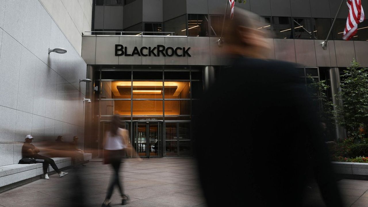 La domination du géant américain BlackRock, qui compte plus de 7.000 milliards de dollars d'encours, s'est confirmée en 2019 avec près d'un euro sur deux collecté en Europe récupéré par sa gamme iShares.