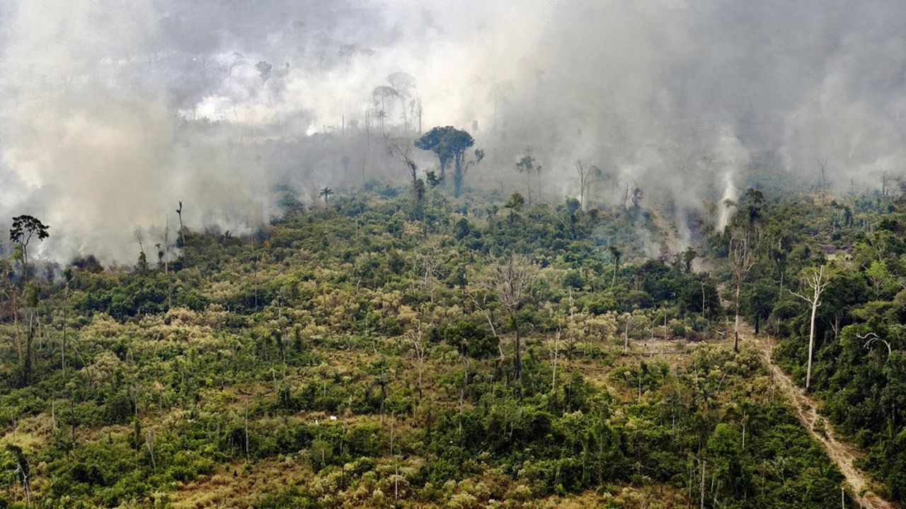La destruction des écosystèmes, comme ici au Brésil, est parmi les principales préoccupations des dirigeants d'entreprises à Davos.