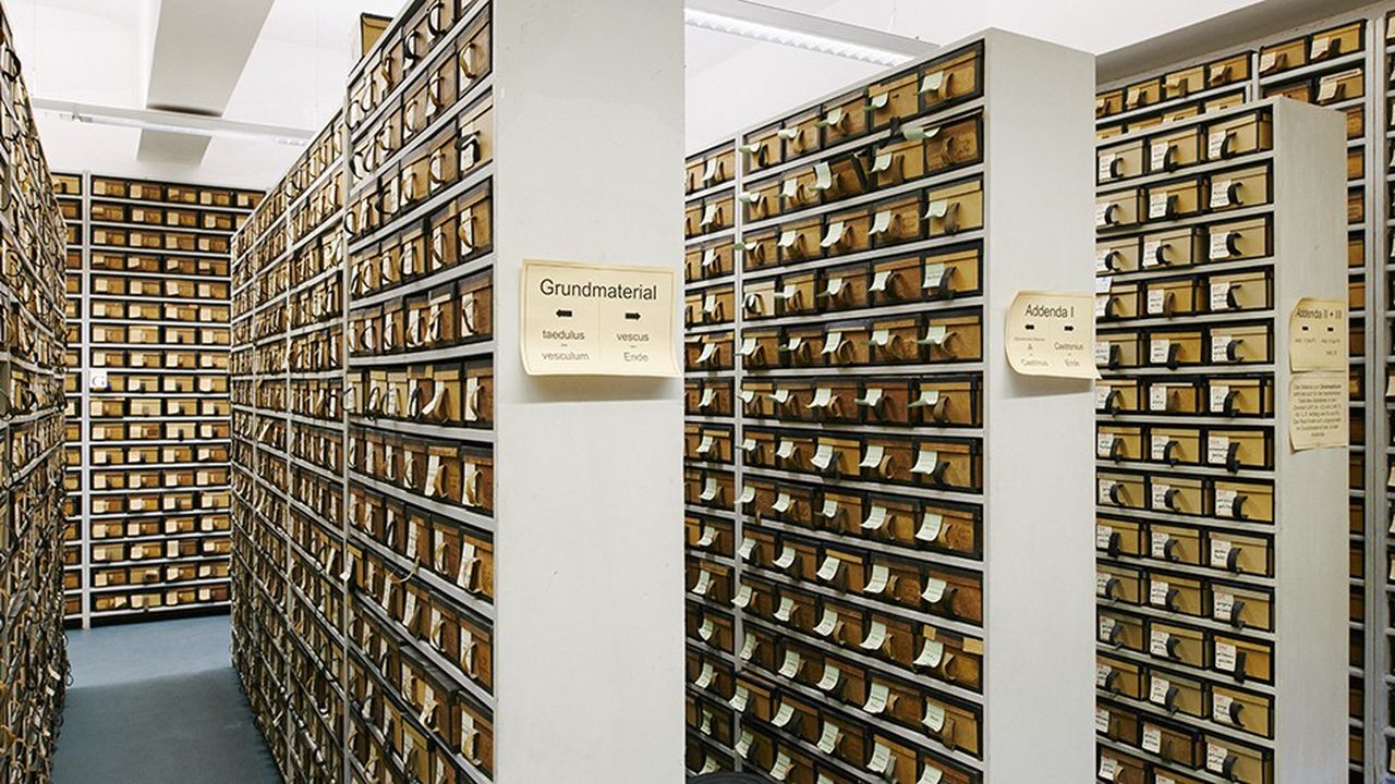 Les milliers de boîtes de fiches manuscrites d'un monumental index commencé en 1894.