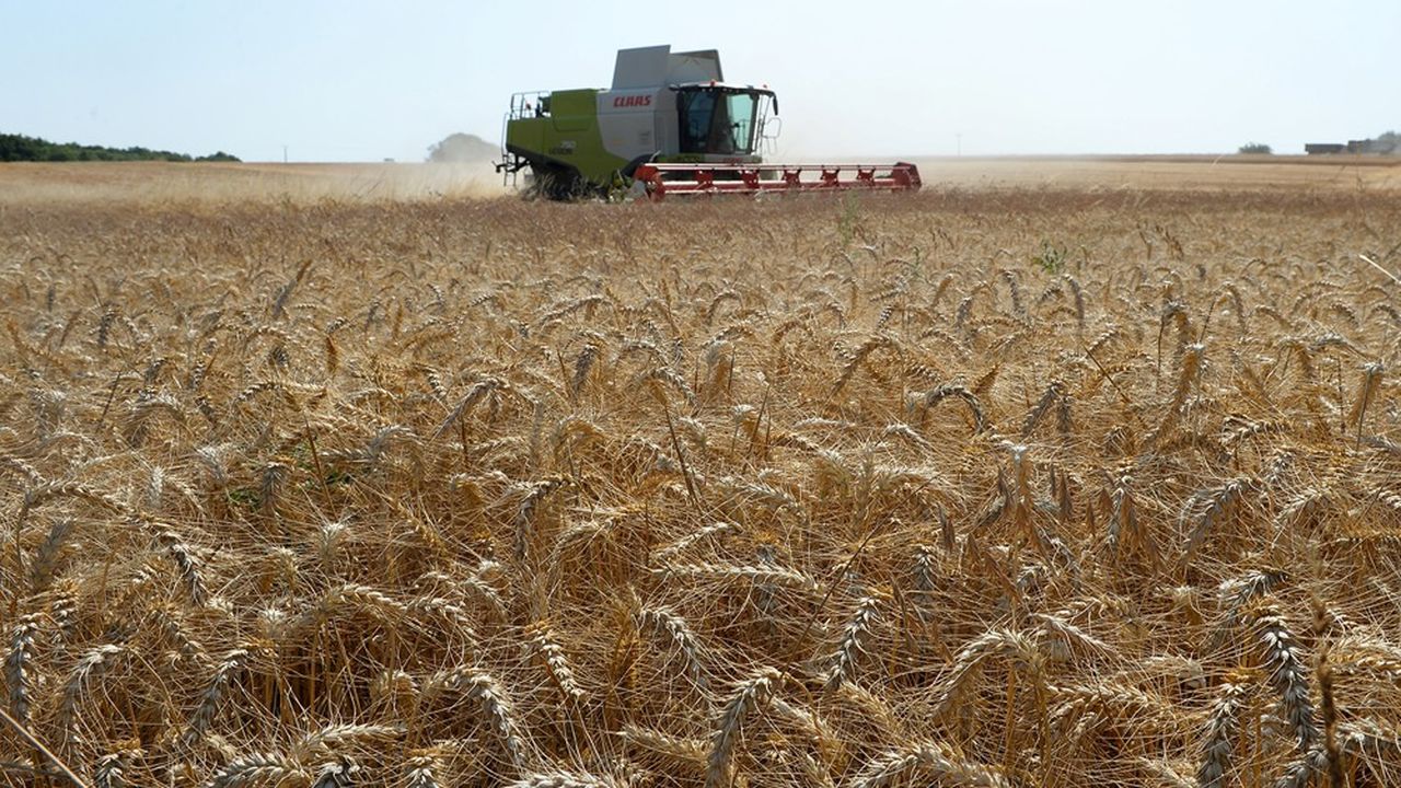 Près de la moitié de la production française de blé est exportée.