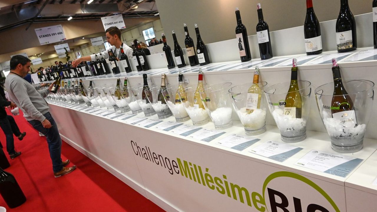 « Les consommateurs sont de plus en plus soucieux de leur santé. Ils sont prêts à payer 30 % de plus pour avoir du vin bio », affirme Nicolas Richarme, président de Millésime Bio.