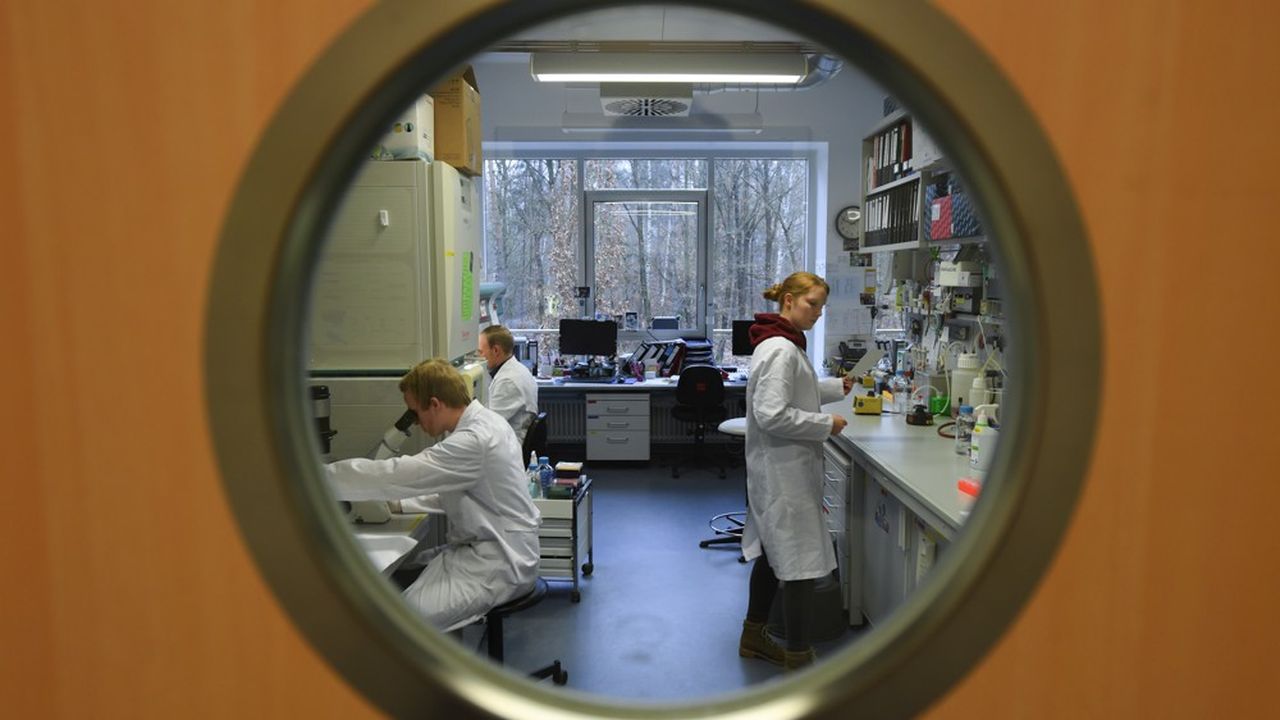 Le nouveau coronavirus mobilise des centaines de laboratoires à travers le monde. Ici, des chercheurs de l'Institut de virologie de la Philipps University de Marburg, le 24 janvier dernier.