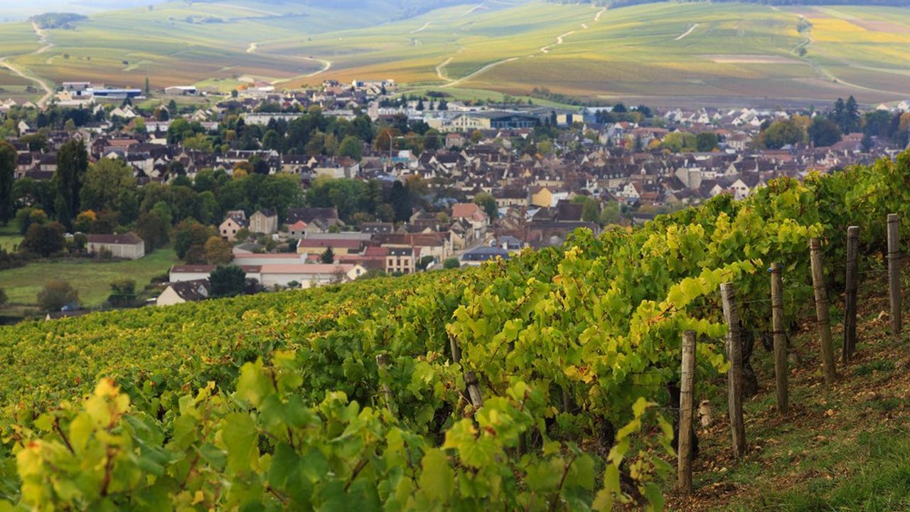 Le chablis disparaîtrait de l'appellation Bourgogne si le Comité national de l'Inao entérine la délimitation de l'aire de production.