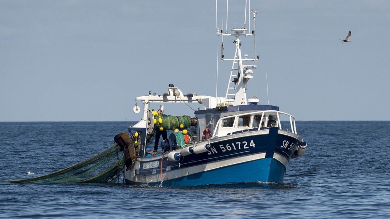 Les pêcheurs européens, français en tête, peuvent respirer : l'accord de sortie prévoit le maintien des règles d'accès et des quotas de pêche actuels durant la période de transition.