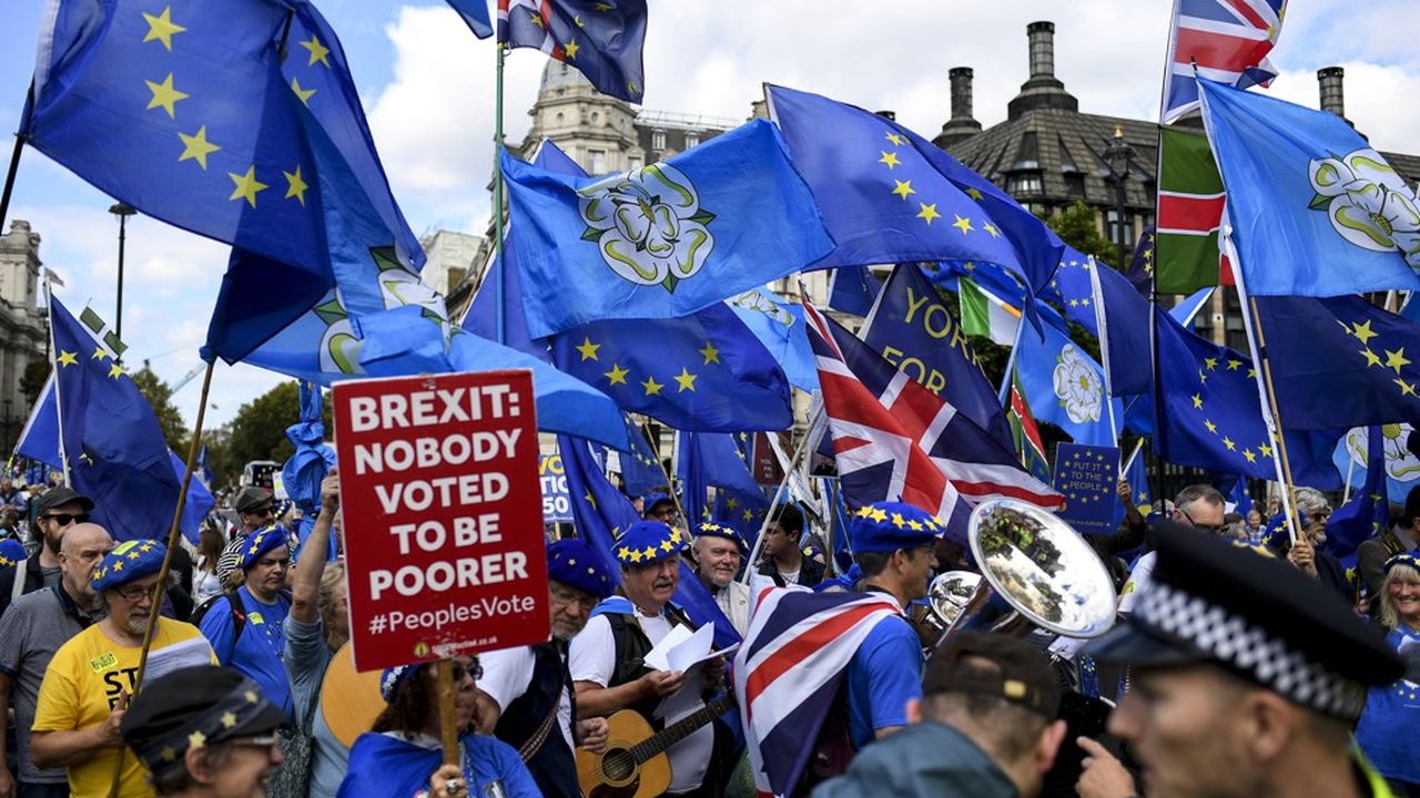 Depuis le référendum du Brexit, les Britanniques favorables au maintien dans l'Union européenne ont manifesté de nombreuses fois, comme ici à Londres.