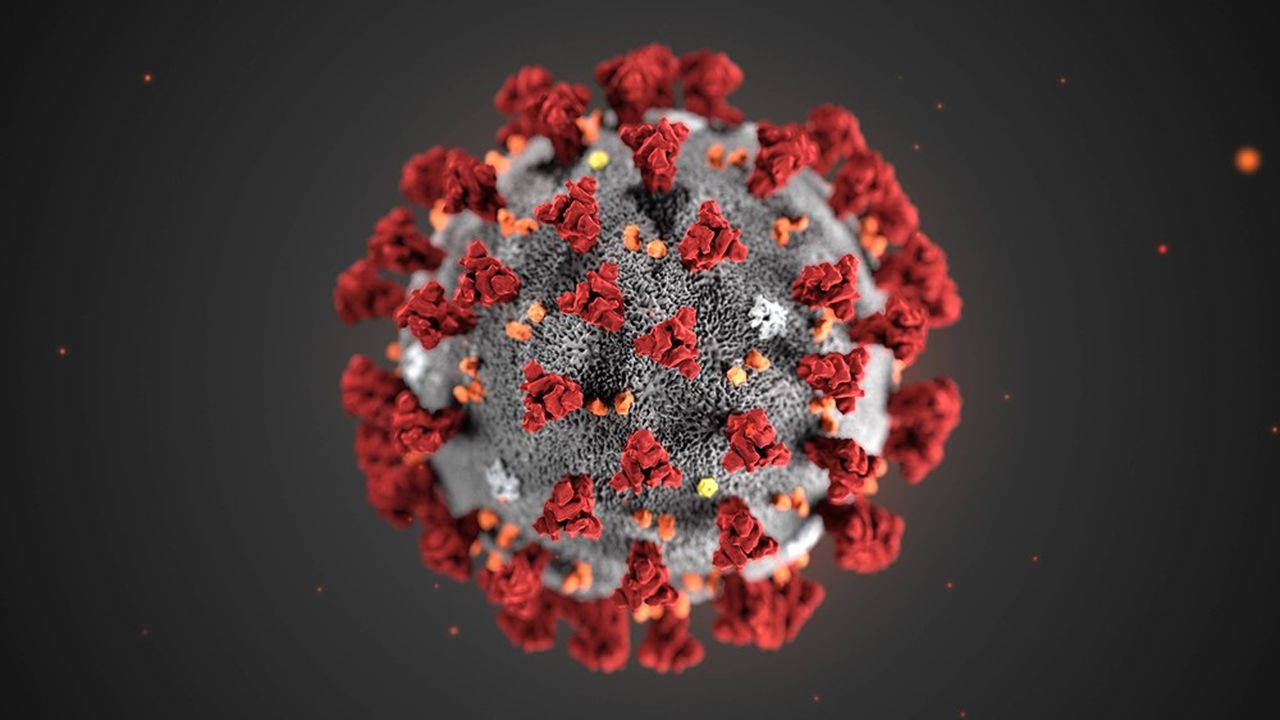 l'Institut Pasteur a réussi, à partir des échantillons prélevés sur les premiers trois malades identifiés sur le territoire français, à isoler et mettre en culture la nouvelle souche à l'origine de l'épidémie, le coronavirus 2019-nCov.