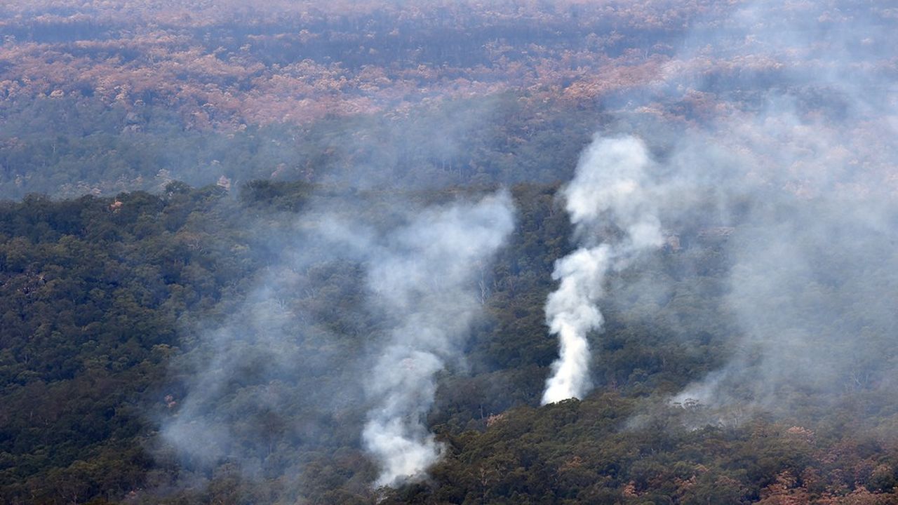 Depuis le mois de septembre, une surface plus grande que celle du Portugal a été ravagée par les flammes en Australie.