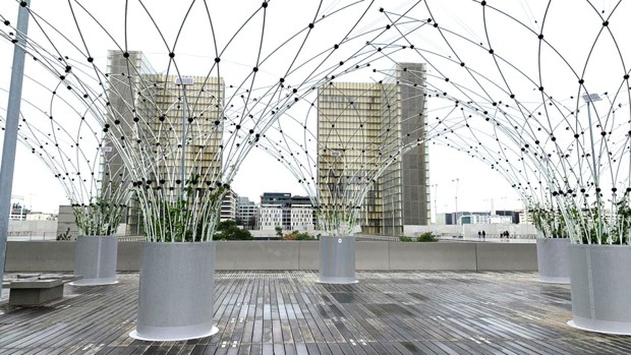 Le parvis de la Bibliothèque nationale de France, dans le 13e arrondissement de Paris, où sont installées les corolles géantes d'Urban Canopee, auxquelles s'accrochent les plantes grimpantes.