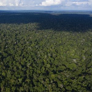L'Amazonie demeure une pomme de discorde entre le Brésil et la France.