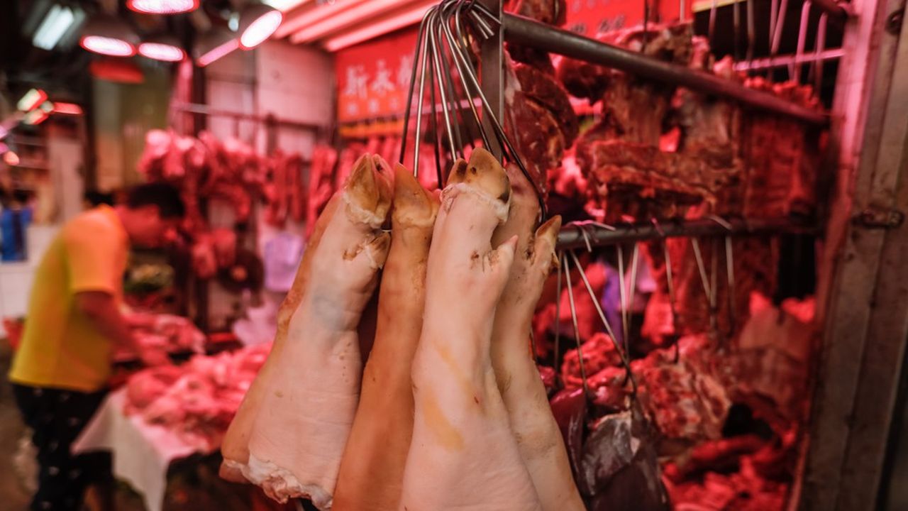 En trois ans, environ 60 millions d'euros ont été dépensés dans une vingtaine de campagnes pour promouvoir la viande.