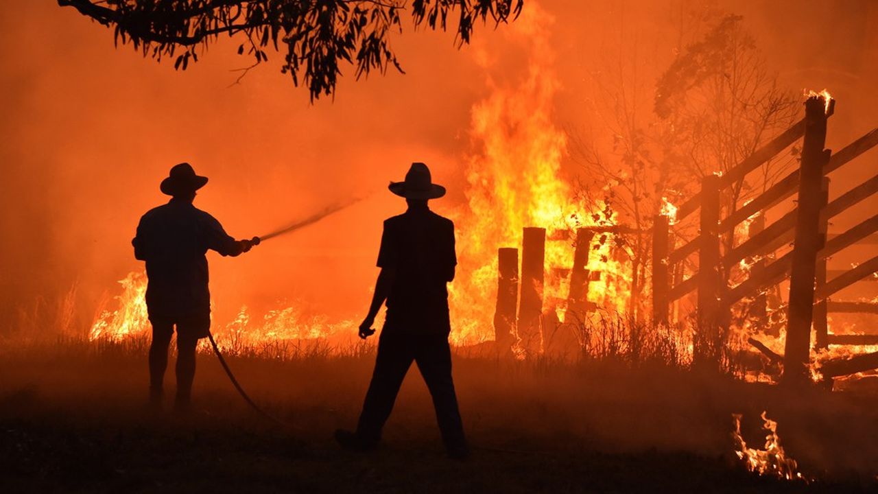 Des climatologues sont actuellement en train d'étudier les données pour déterminer à quel point le dérèglement climatique est responsable de ces incendies.