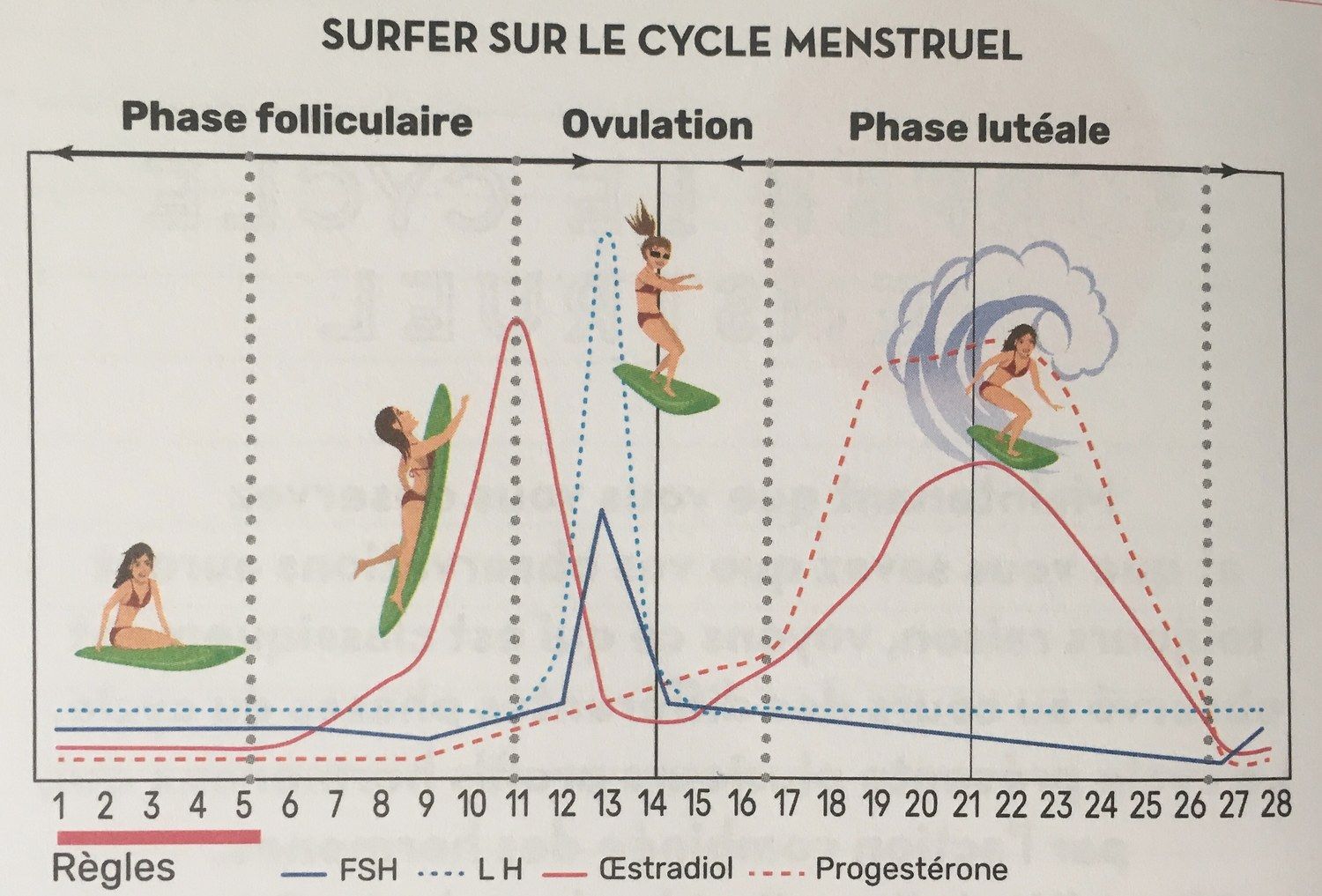 11 idées de Kiffe ton Cycle  cycle menstruel, cycle, cycle féminin
