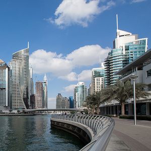 Malgré la chute des cours du pétrole, les Emirats arabes unis comptent encore des secteurs dynamiques pour les expatriés.