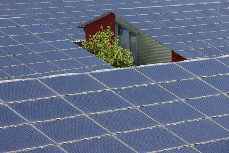 Toits recouverts de panneaux photovoltaïques dans le quartier Vauban, un modèle de sobriété énergétique, à Fribourg-en-Brisgau.
