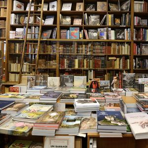 Les librairies les plus importantes (soit entre 700 à 1.300 boutiques) accusent un recul de 52,4 % des ventes, selon GfK.