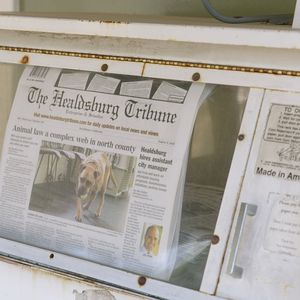 En janvier, le « Healdsburg Tribune » a créé une structure à but non lucratif afin de lever des fonds auprès d'organisations philanthropiques et de donateurs individuels.