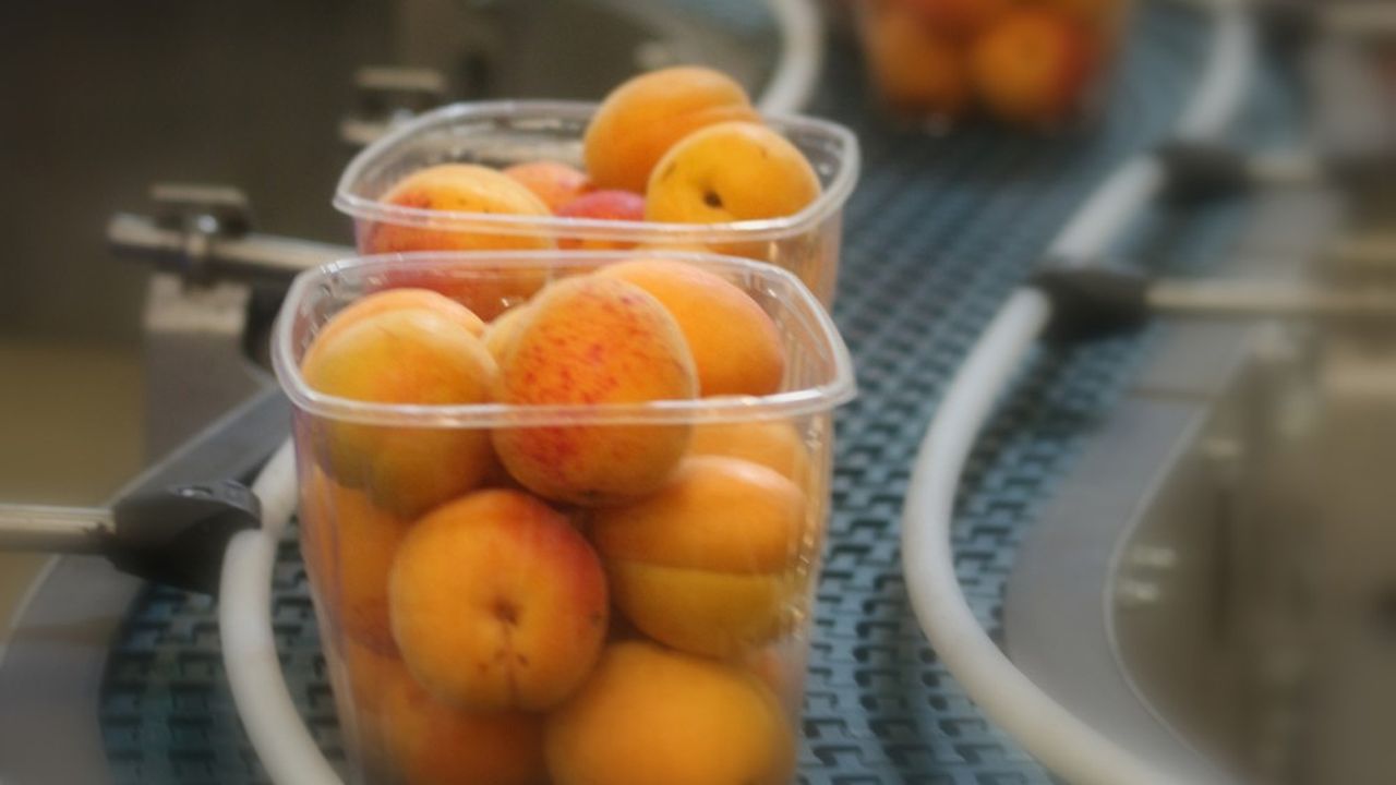 Comptoir Rhodanien conditionne et commercialise 37.000 tonnes de fruits par an.