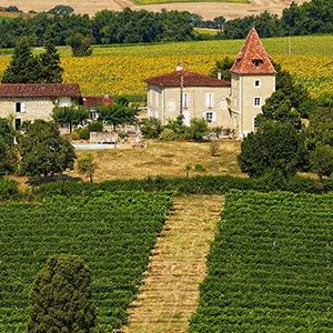 La marque IVSO regroupe quelque 2.000 vignerons de Bergerac à l’Ariège, du Pays basque à l’Aveyron.