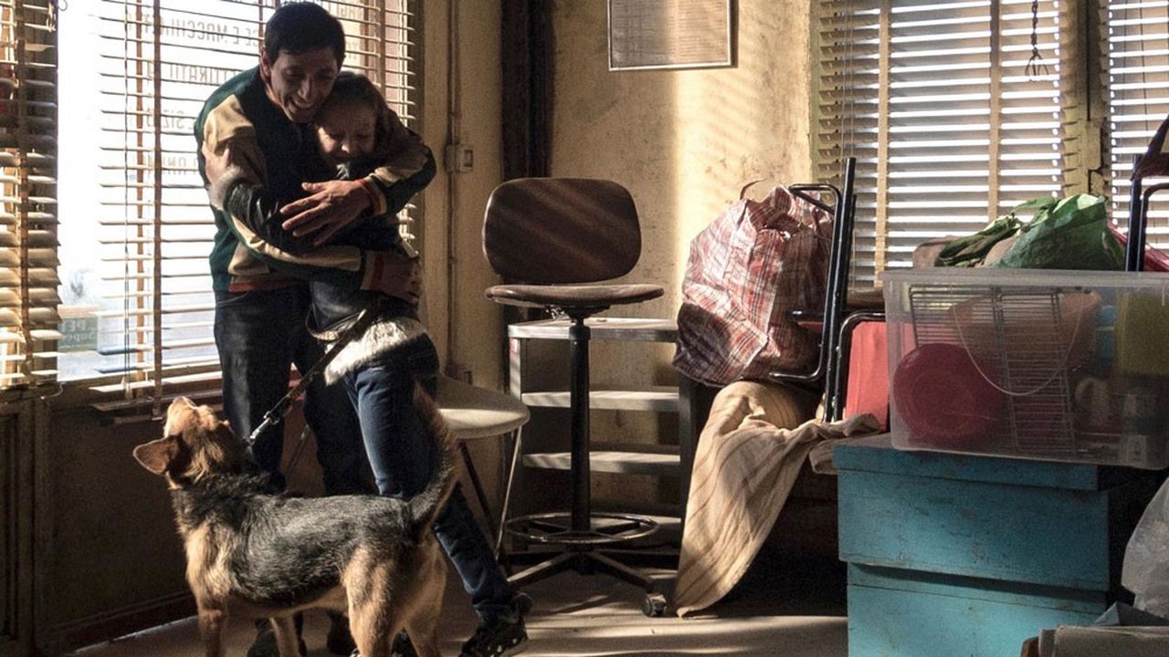 Cannes 2018 : « Dogman », une vie de chien