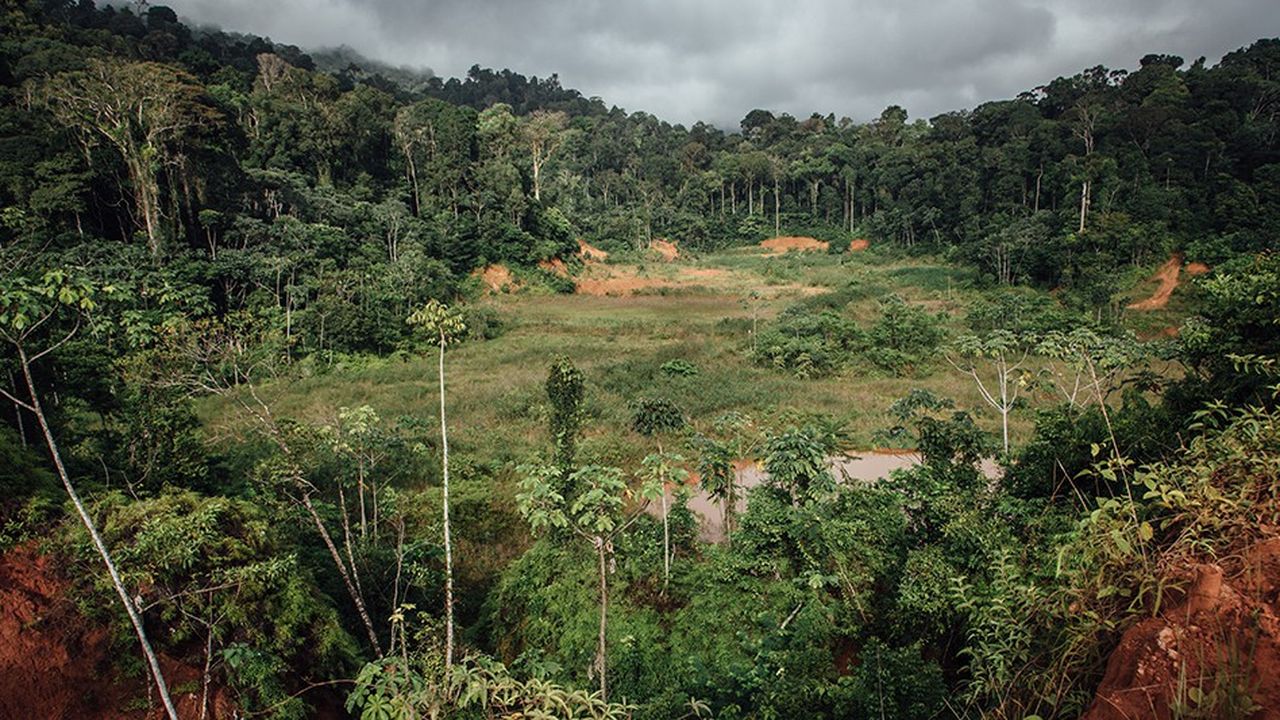 La Montagne d'or, le projet minier qui divise la Guyane