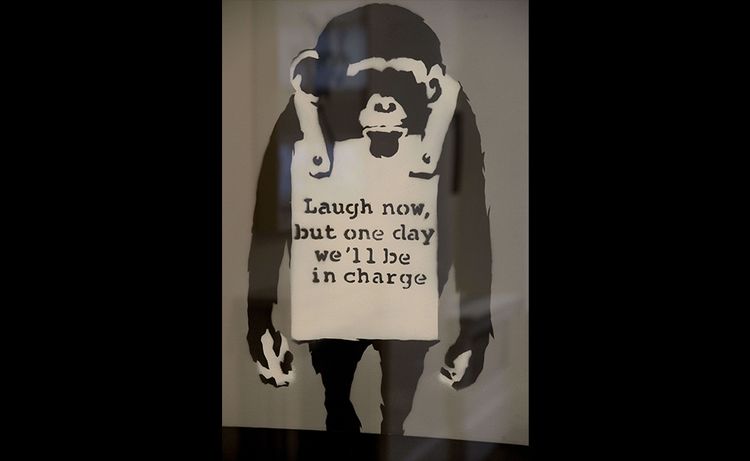 Banksy et les singes