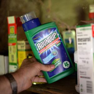 Bidon de Roundup, herbicide produit par la compagnie americain Monsanto. Le glyphosate, principe actif du Roundup, a ete classe 'cancerogene probable' par l'OMS en mars dernier pesticide, agriculture