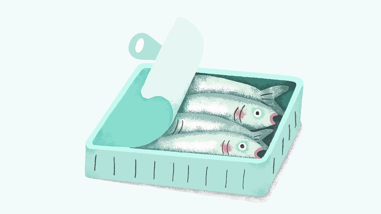 Les meilleures sardines en conserve