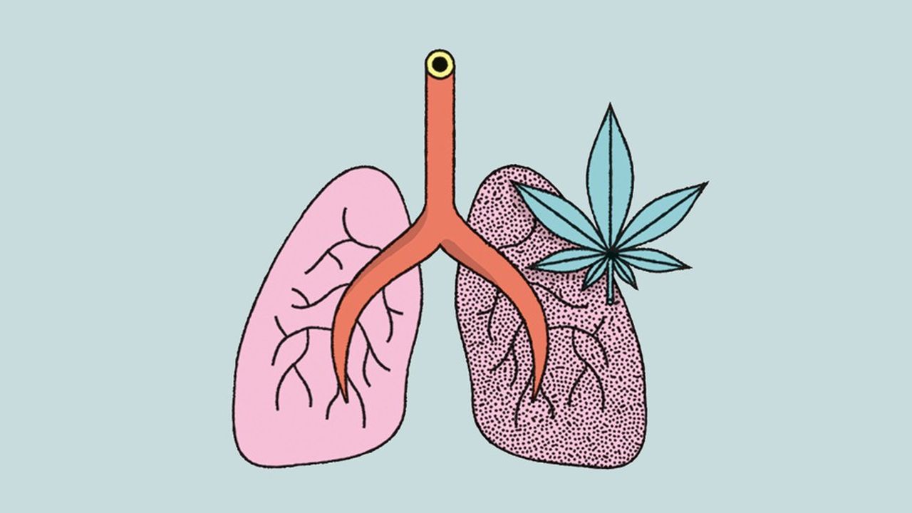 Le cannabis pourrait être plus nocif pour les poumons que le tabac