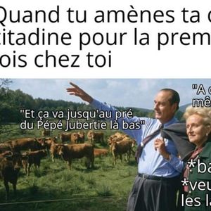 Memes décentralisés a permis de dévoiler les différentes cultures de France, même s'il s'agit souvent de clichés.