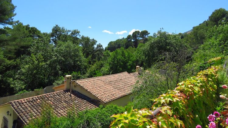 La maison de la semaine : une villa noyée dans la verdure près de Grasse 3
