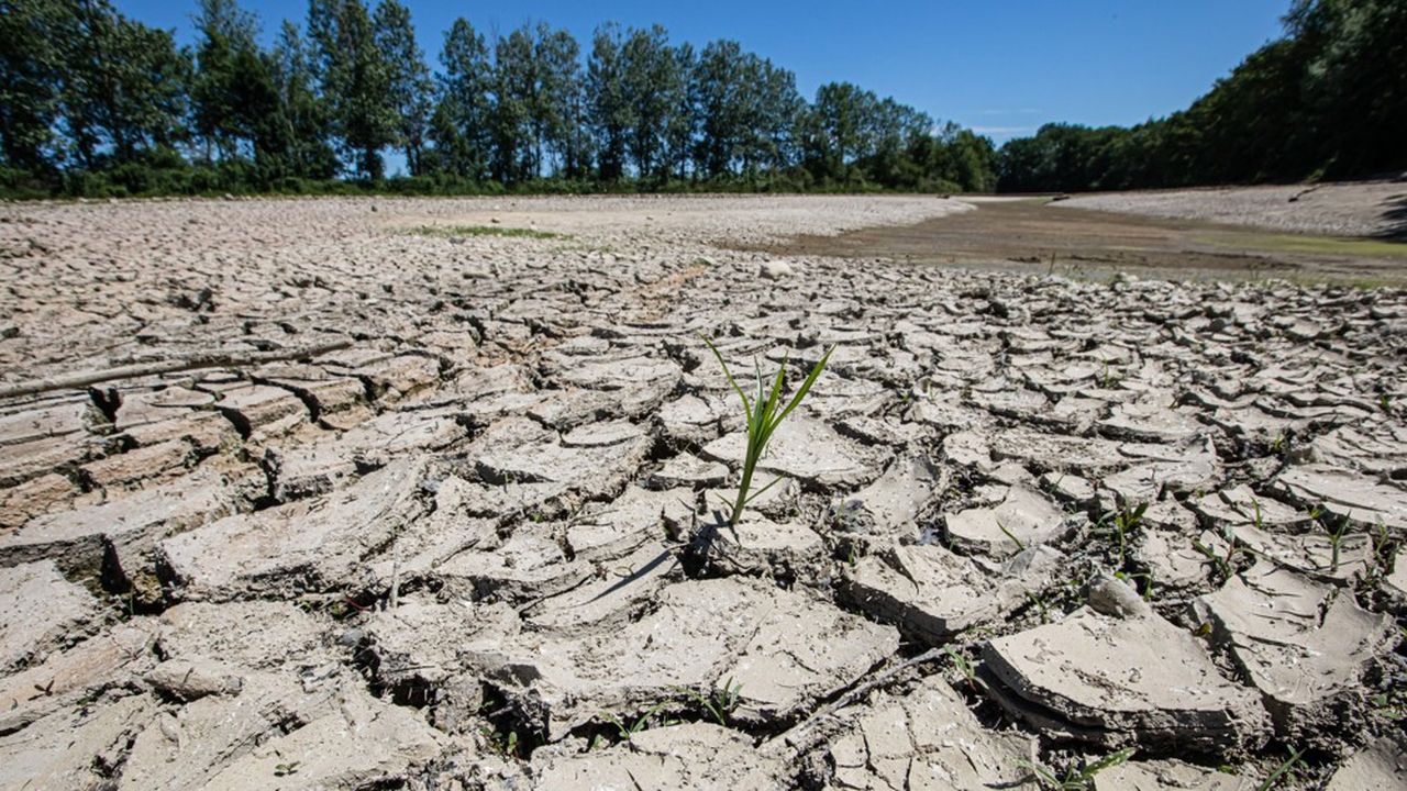 Météo-France ne prévoit pas de pluie significative jusqu'à la fin du mois de juillet. Ce déficit pluviométrique pourrait fortement impacter les réserves des nappes phréatiques.