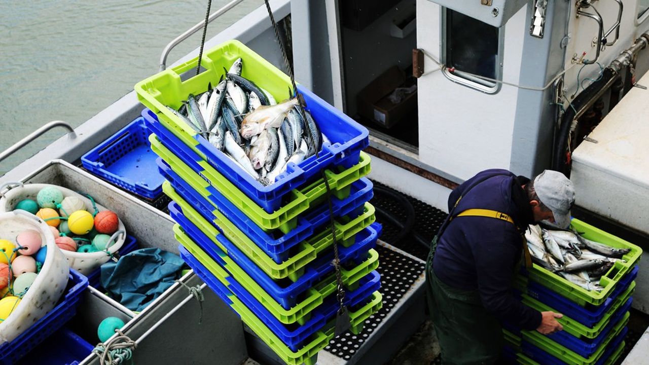 Pour tenter de relancer l'activité, l'association malouine Breizhmer, qui rassemble pêcheurs professionnels, mareyeurs, conchyliculteurs et poissonniers, a créé fin avril le site Internet Allolamer.bzh.