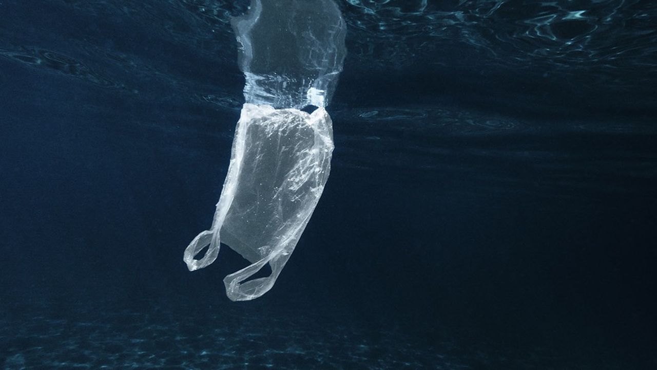 Si rien ne change, la quantité cumulée de plastique dans l'océan pourrait atteindre 600 millions de tonnes en 20 ans.