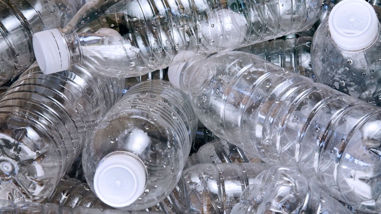 Les scientifiques ont identifié des dizaines de types de plastiques, dont le polyéthylène téréphtalate (PET), utilisé dans les bouteilles de boissons en plastique.