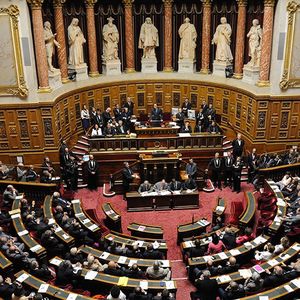Au cours des discussions parlementaires sur le projet de loi Pacte, adopté en première lecture à l'Assemblée nationale et en cours d'examen au Sénat, Bercy a glissé un amendement qui ouvre la voie à la création d'un « fonds de pérennité économique ».