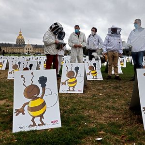 Manifestation contre la réintroduction des pesticides néonicotinoïdes à deux pas de l'Assemblée nationale, le 23 septembre 2020.