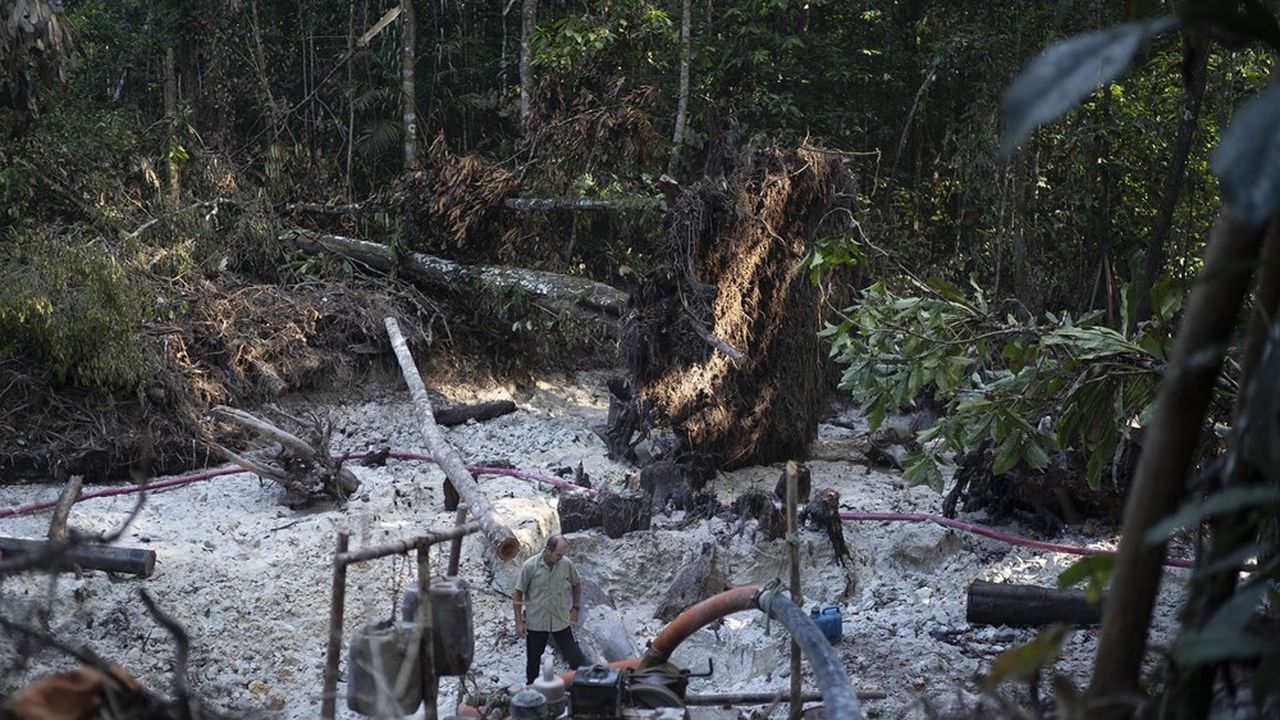 Une mine d'or illégale dans la jungle amazonienne