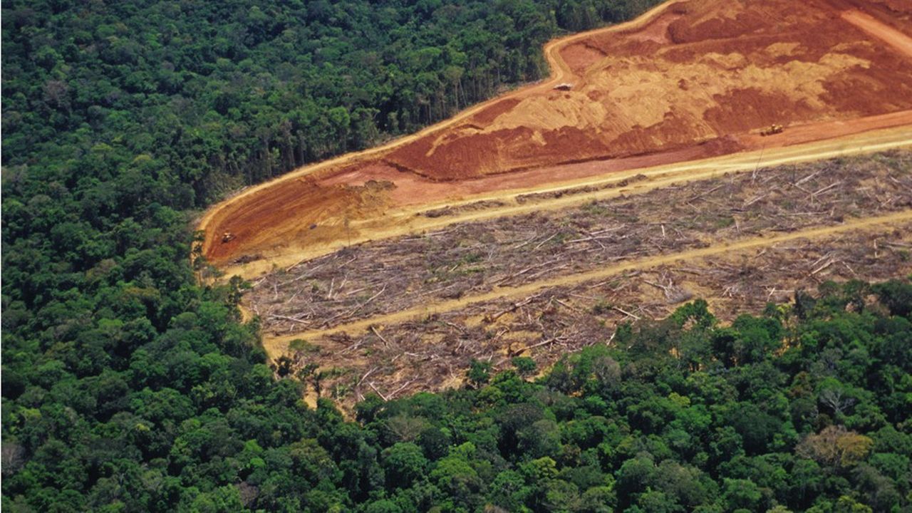 Brésil La Déforestation Et Le Négoce De Soja Dans Le Viseur Les Echos