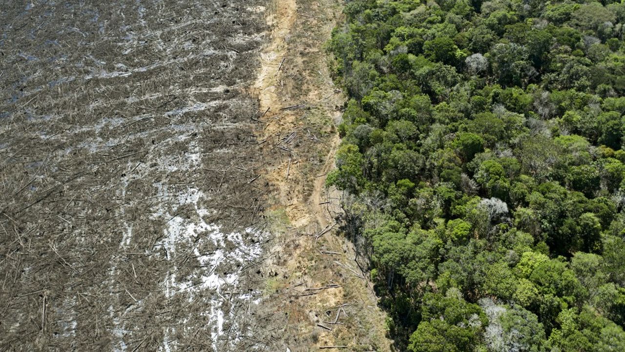 L'accélération de la déforestation en Amazonie brésilienne va renforcer l'isolement de Jair Bolsonaro.