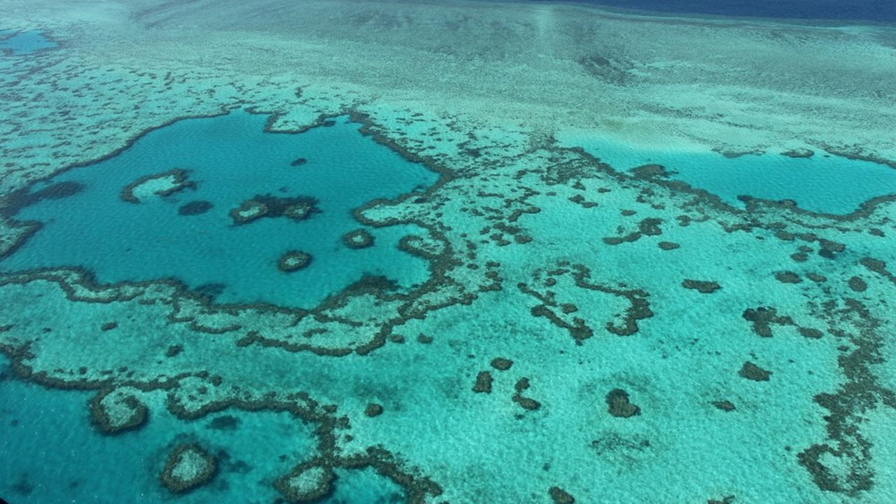 Au nord-est de l'Australie, la Grande Barrière de corail est l'écosystème de récifs coralliens le plus étendu du monde, couvrant près de 350.000 km2, avec 400 espèces de coraux, 1.500 espèces de poissons et 4.000 espèces de mollusques. La quasi-totalité est inscrite au patrimoine mondial de l'Unesco.