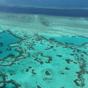 Au nord-est de l'Australie, la Grande Barrière de corail est l'écosystème de récifs coralliens le plus étendu du monde, couvrant près de 350.000 km2, avec 400 espèces de coraux, 1.500 espèces de poissons et 4.000 espèces de mollusques. La quasi-totalité est inscrite au patrimoine mondial de l'Unesco.