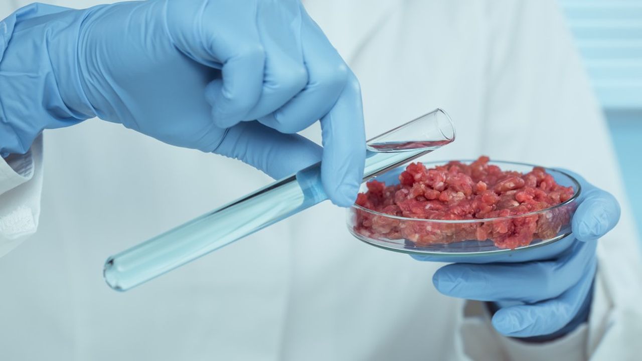 La viande artificielle pourrait bientôt se retrouver dans les rayons des supermarchés.