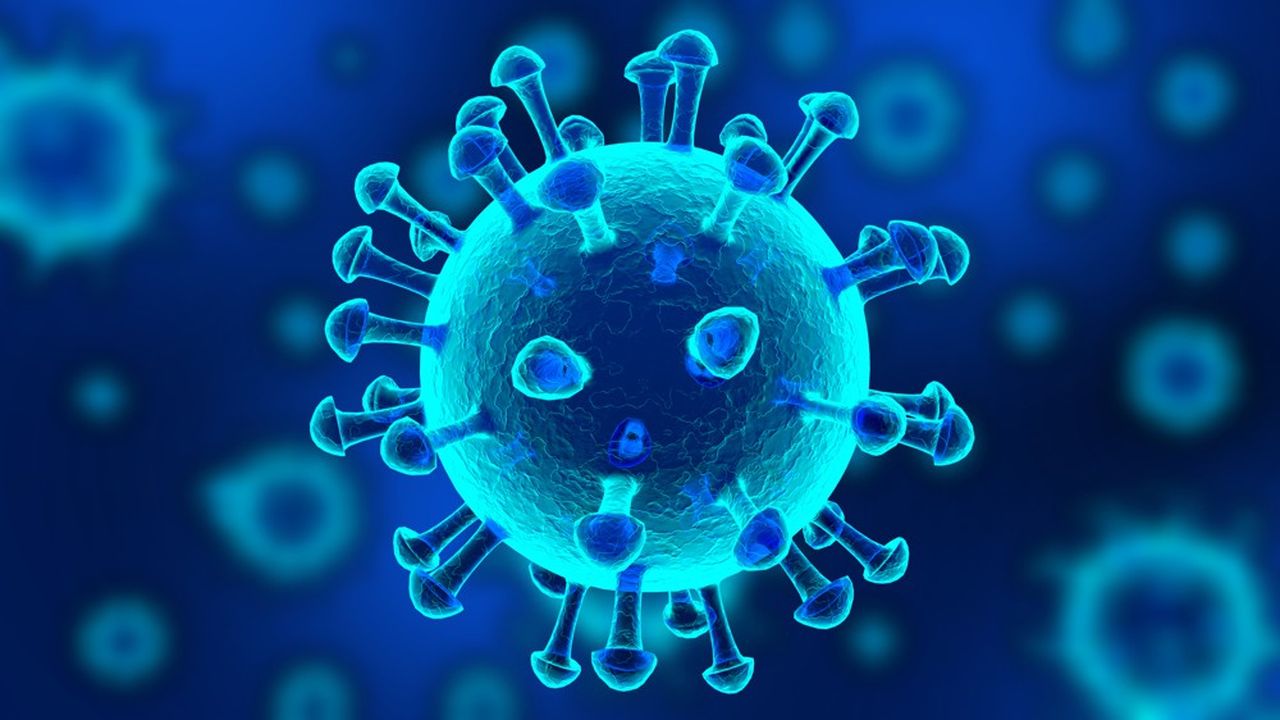 Le nom « coronavirus » est dû à la forme, au microscope, des virions avec leur couronne de piques, qui rappelle la couronne solaire.