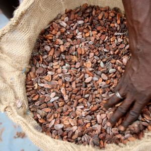 La Côte d'Ivoire et le Ghana produisent 60 % du cacao dans le monde.