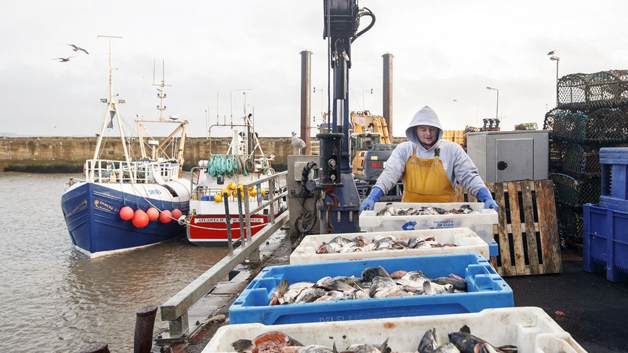 Le sujet de la pêche, d'autant plus politique pour Boris Johnson qu'il est pour les Britanniques le symbole de leur souveraineté retrouvée, doit notamment lui permettre de satisfaire les pêcheurs écossais, à qui il a promis de tenir bon et sur lesquels il entend pouvoir compter en cas de nouveau référendum sur l'indépendance de l'Ecosse.